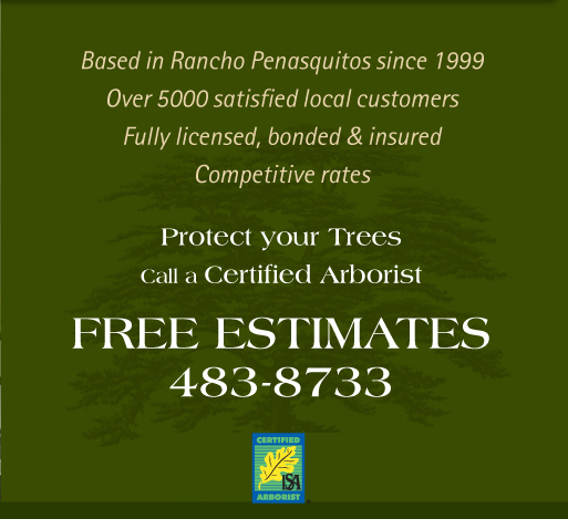 parker tree service slide parker tree service 4838733 parker tree service slide parker tree service 4838733
