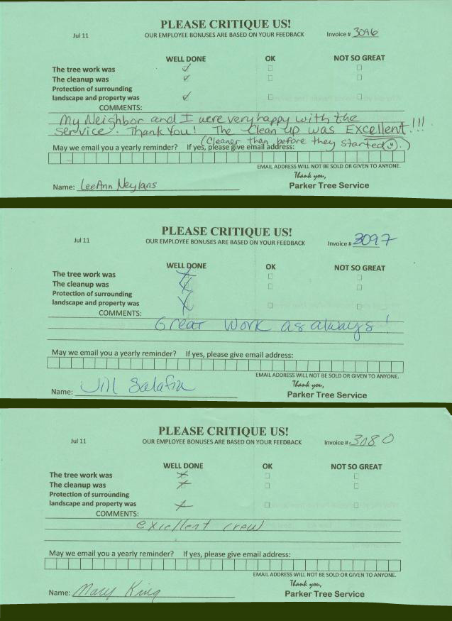 parker tree service longmont co testimonials parker tree service 4838733 parker tree service longmont co testimonials parker tree service 4838733